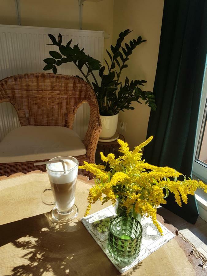 Apartament Pod Jelonkiem Szklarska Poręba Kültér fotó